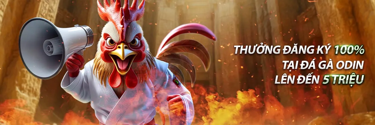 Hình ảnh minh họa các hành vi bị cấm trong nền tảng 98 win